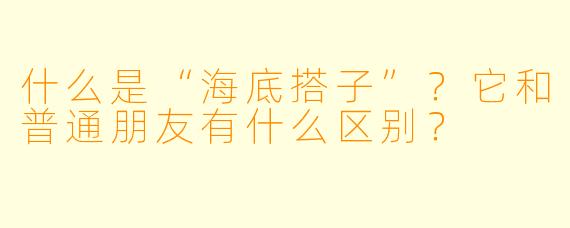 什么是“海底搭子”?它和普通朋友有什么区别?