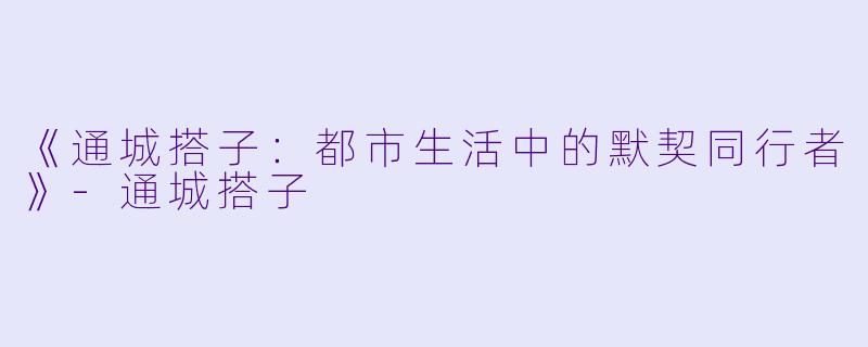 《通城搭子：都市生活中的默契同行者》-通城搭子