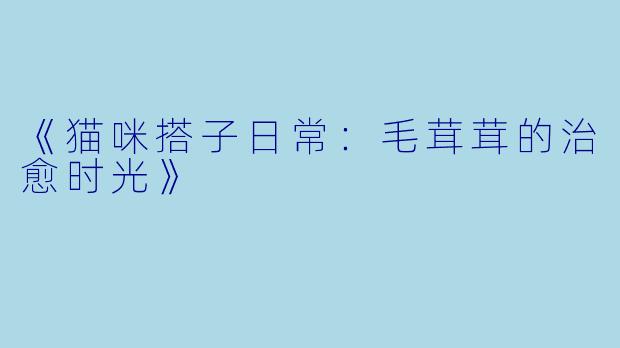 《猫咪搭子日常：毛茸茸的治愈时光》