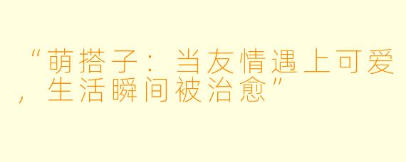 “萌搭子:当友情遇上可爱,生活瞬间被治愈”