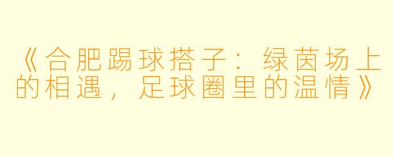 《合肥踢球搭子:绿茵场上的相遇,足球圈里的温情》