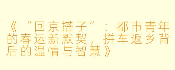 《“回京搭子”：都市青年的春运新默契，拼车返乡背后的温情与智慧》