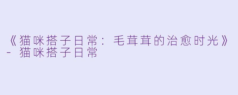 《猫咪搭子日常：毛茸茸的治愈时光》-猫咪搭子日常