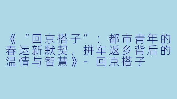 《“回京搭子”：都市青年的春运新默契，拼车返乡背后的温情与智慧》-回京搭子
