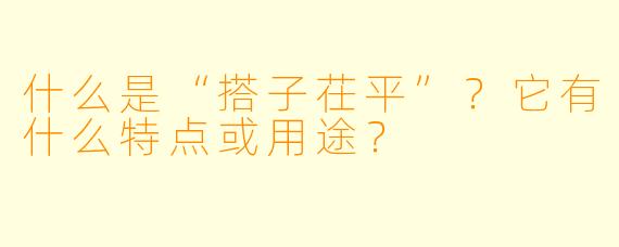 什么是“搭子茌平”？它有什么特点或用途？