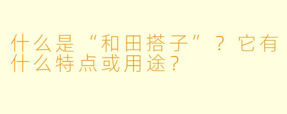 什么是“和田搭子”?它有什么特点或用途?