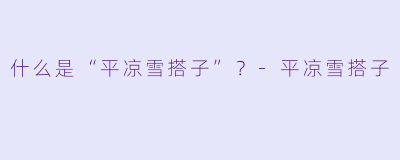 什么是“平凉雪搭子”？-平凉雪搭子