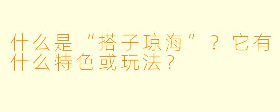 什么是“搭子琼海”?它有什么特色或玩法?