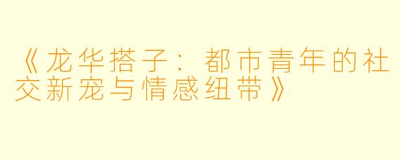 《龙华搭子:都市青年的社交新宠与情感纽带》
