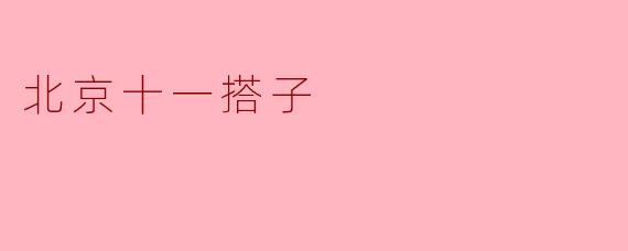 北京十一搭子