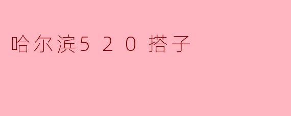 哈尔滨520搭子