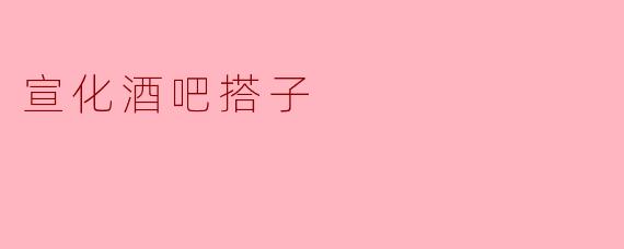 宣化酒吧搭子