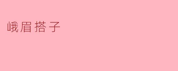 《峨眉搭子：江湖路上的默契与羁绊》