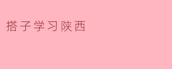 什么是“搭子学习陕西”?具体怎么操作?