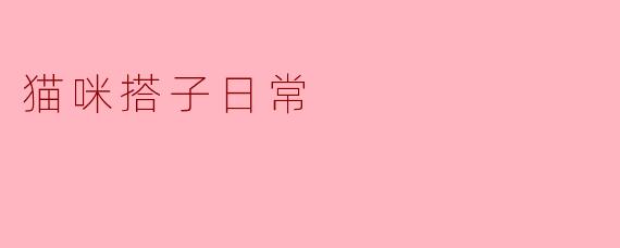 猫咪搭子日常
