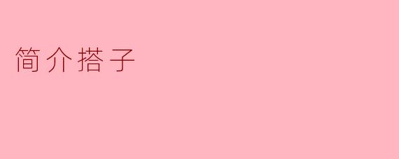简介搭子