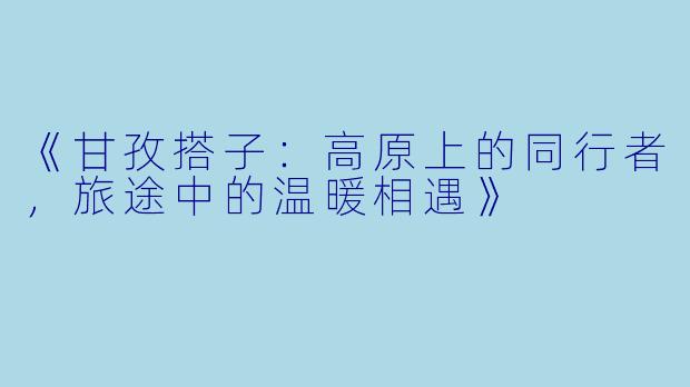 《甘孜搭子：高原上的同行者，旅途中的温暖相遇》