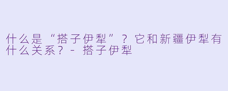 什么是“搭子伊犁”？它和新疆伊犁有什么关系？-搭子伊犁
