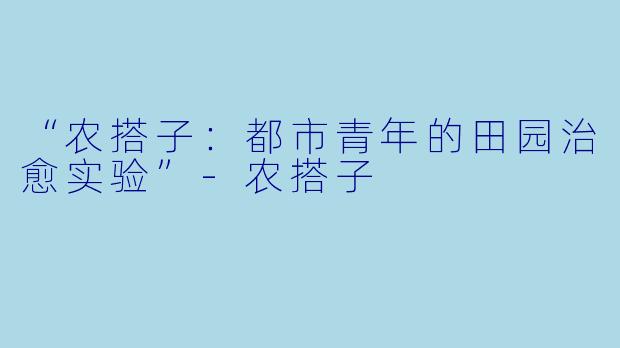 “农搭子：都市青年的田园治愈实验”-农搭子
