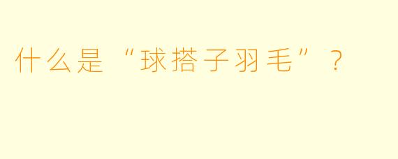 什么是“球搭子羽毛”?