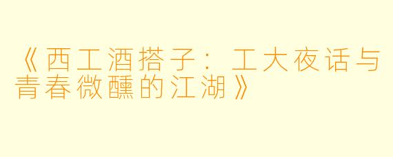 《西工酒搭子：工大夜话与青春微醺的江湖》