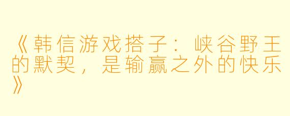 《韩信游戏搭子:峡谷野王的默契,是输赢之外的快乐》