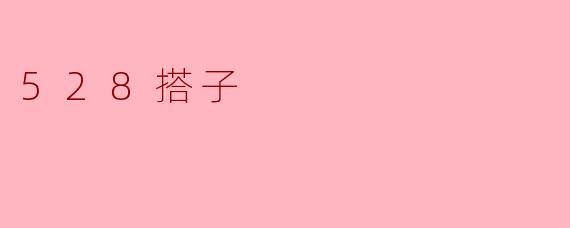 528搭子