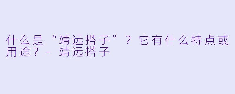 什么是“靖远搭子”?它有什么特点或用途?
