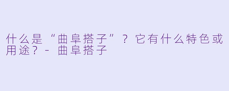 什么是“曲阜搭子”？它有什么特色或用途？
