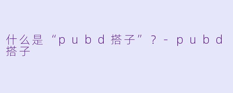 什么是“pubd搭子”？-pubd搭子