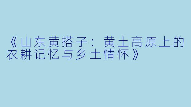 《山东黄搭子:黄土高原上的农耕记忆与乡土情怀》