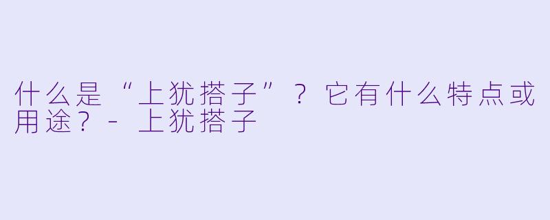 什么是“上犹搭子”？它有什么特点或用途？-上犹搭子