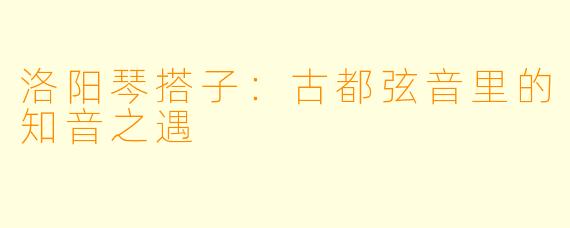 洛阳琴搭子：古都弦音里的知音之遇