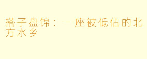 搭子盘锦:一座被低估的北方水乡