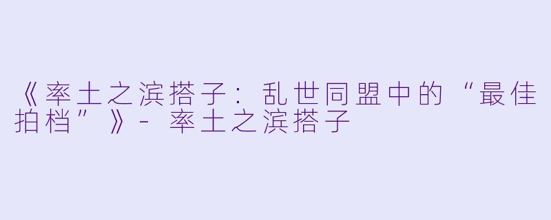 《率土之滨搭子：乱世同盟中的“最佳拍档”》-率土之滨搭子