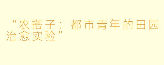 “农搭子：都市青年的田园治愈实验”