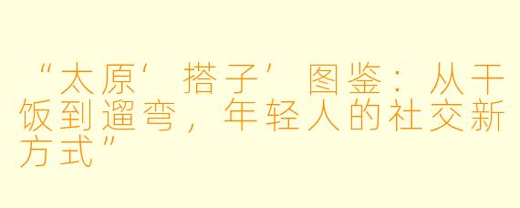 “太原‘搭子’图鉴：从干饭到遛弯，年轻人的社交新方式”
