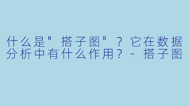 什么是"搭子图"？它在数据分析中有什么作用？
