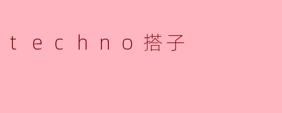 techno搭子