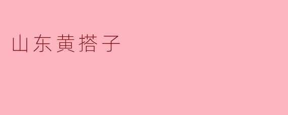 山东黄搭子