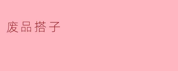 废品搭子