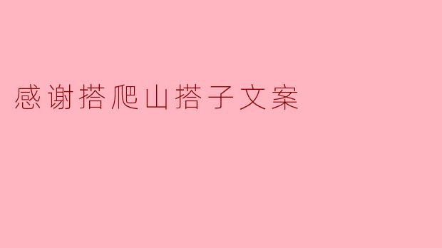 《山高路远,幸有同行——致我的爬山搭子》