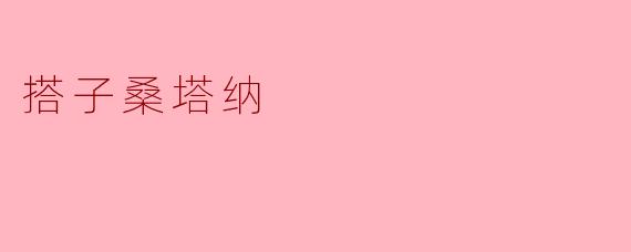 搭子桑塔纳
