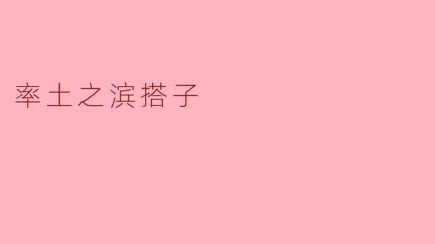 率土之滨搭子