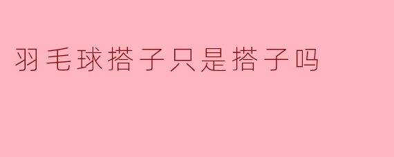 羽毛球搭子只是搭子吗?——论运动伙伴背后的情感联结