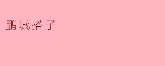 鹏城搭子
