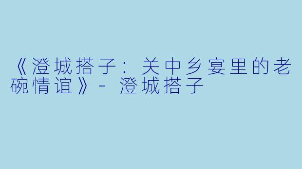 《澄城搭子：关中乡宴里的老碗情谊》-澄城搭子