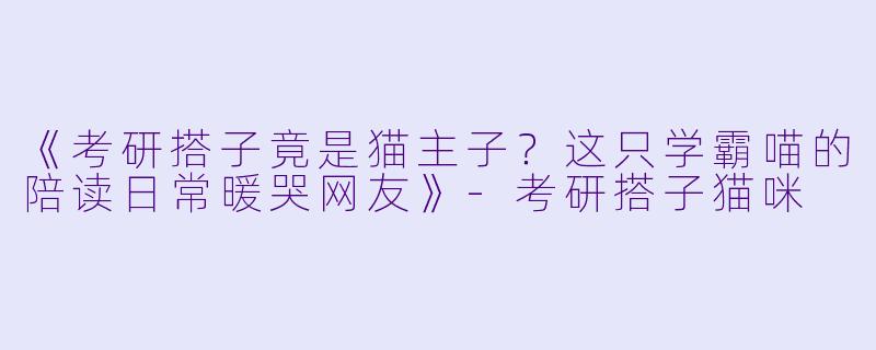 《考研搭子竟是猫主子？这只学霸喵的陪读日常暖哭网友》-考研搭子猫咪
