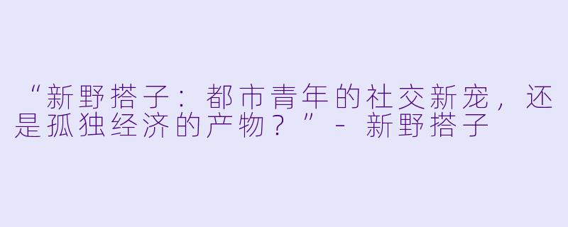 “新野搭子：都市青年的社交新宠，还是孤独经济的产物？”-新野搭子