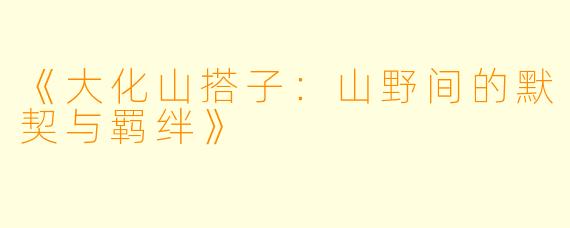 《大化山搭子：山野间的默契与羁绊》